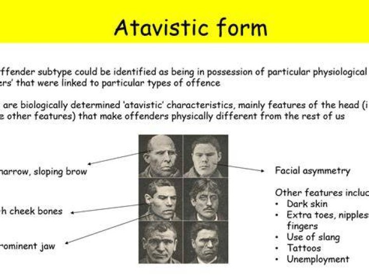 What is atavistic theory?